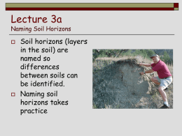 Lecture 3a Naming Soil Horizons