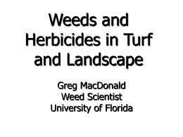 Weeds in Turf and Landscape