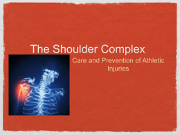 The Shoulder Complex - Doral Academy Preparatory