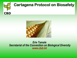Secretariat of the Convention on Biological Diversity