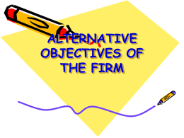 OTHER OBJECTIVES OF THE FIRM
