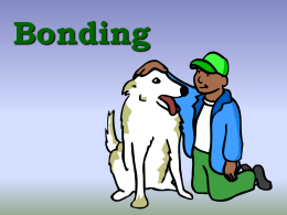 PowerPoint - Ionic & Covalent Bonds