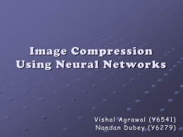 Neural Networks - Indian Institute of Technology Kanpur