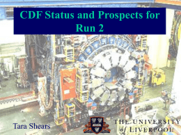 CDF Prospects in Run II - Science and Technology