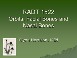RADT 1522 Orbits, Facial Bones and Nasal Bones