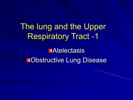 The lung and the Upper Respiratory Tract