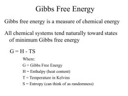 Gibbs Free Energy - San Francisco State University