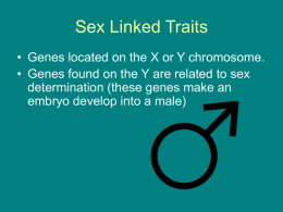 Sex Linked Traits - South Kingstown High School Home Page