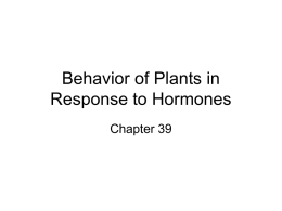 Behavior of Plants in Response to Hormones