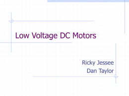 Low Voltage DC Motors