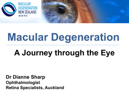 Macular Degeneration Foundation - Welcome