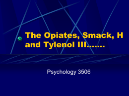 The Opiates, Smack, H and Tylenol III…….