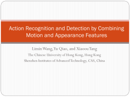 Action Recognition and Detection by Combining Motion and