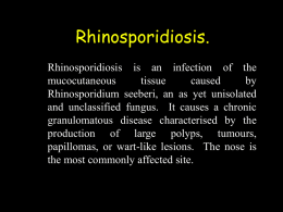 Rhinosporidiosis.