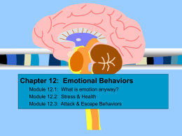 Emotional Behaviors - Mansfield University of Pennsylvania