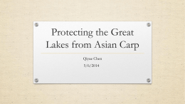 Asian Carps in America