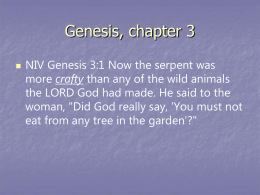 Genesis, chapter 3 - Our Savior's, Eyota