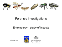 Insects - The University of Western Australia