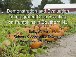 2001 Pumpkin IPM Demonstration