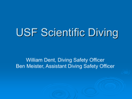 USF Scientific Diving - USF Research & Innovation