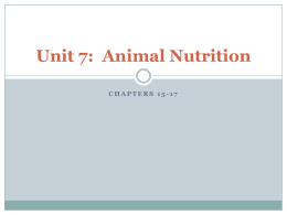 Unit 5: Animal Nutrition