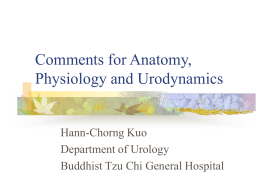 Comments for Anatomy, Physiology and Urodynamics