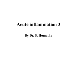 Acute inflammation - V4US-33rd