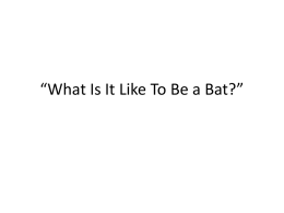 What Is It Like To Be a Bat?”