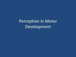 Perception in Motor Development