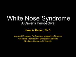 White Nose Syndrome - National Speleological Society