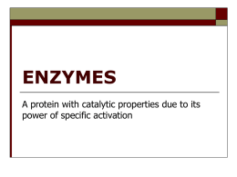 Enzymes- Catalysis, Factors, and Inhibition – Chm 22