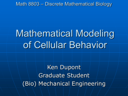 Mathematical Models of Cell Dynamics