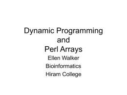 Dynamic Programming and Perl Arrays