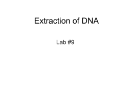 Extraction of DNA from Banana and your Cheek Cells
