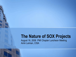 The Natue of SOX Projects