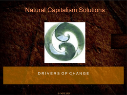 Natural Capitalism Solutions E L D O R A D O S P R I N G S