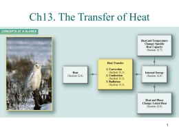 Ch13 The Transfer of Heat