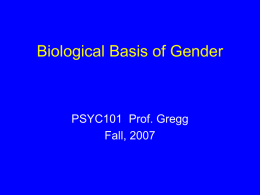 Biological Basis of Gender