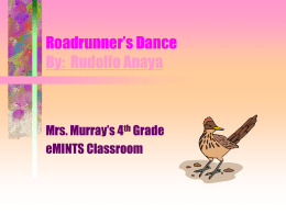 Roadrunner’s Dance