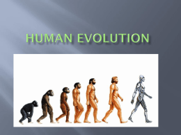 Human Evolution - Monroe Township School District