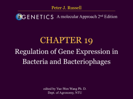 CHAPTER 19 Regulation of Gene Expression in Bacteria and