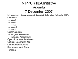 NW IIBA Initiative Agenda 12/7/07