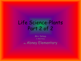 Life Science-Plants Part 2 of 2