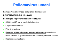 01 - poliomavirus umani (BK-JC