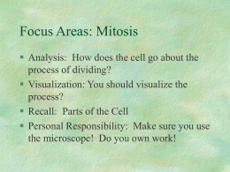 Mitosis and Cell Division