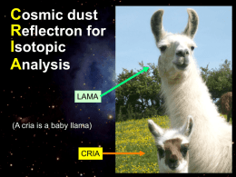 Cosmic dust Reflectron for Isotopic Analysis (CRIA)