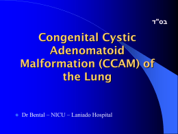 Cystic Adenomatoid Malformation (CAM)