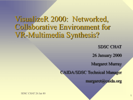 Visualizer 2000: Networked, Collaborative Environment for