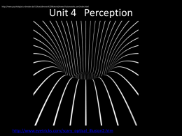 Sensation and Perception pt. 1
