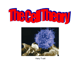 Cell Theory ppt - News | Poudre School District